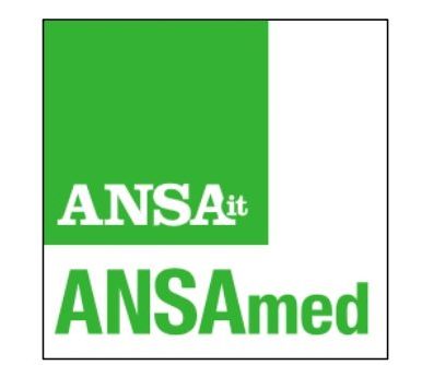 ansa_page-0001